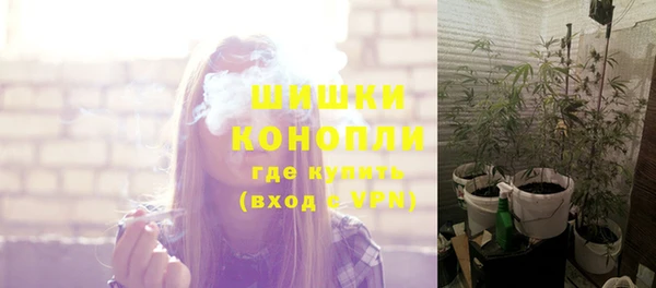 альфа пвп Медвежьегорск