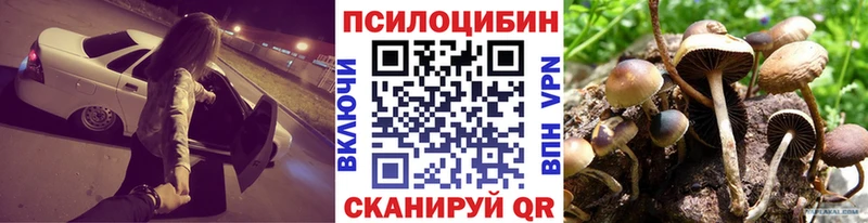 даркнет формула  что такое   Звенигово  Псилоцибиновые грибы мицелий 
