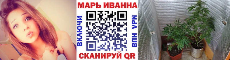 Шишки марихуана семена  мориарти официальный сайт  Звенигово 
